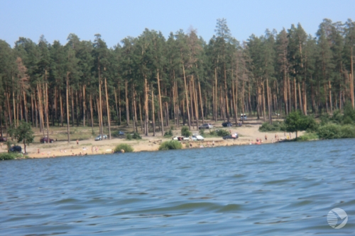 Берег Сурского водохранилища