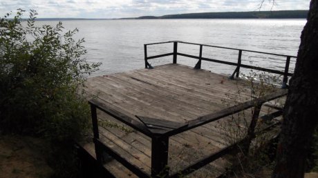 Берег Сурского водохранилища